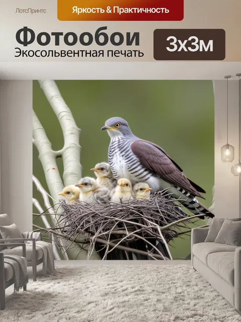 Фотообои с птенцами