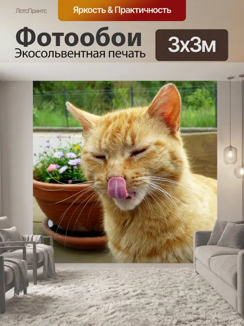 Фотообои Кошка