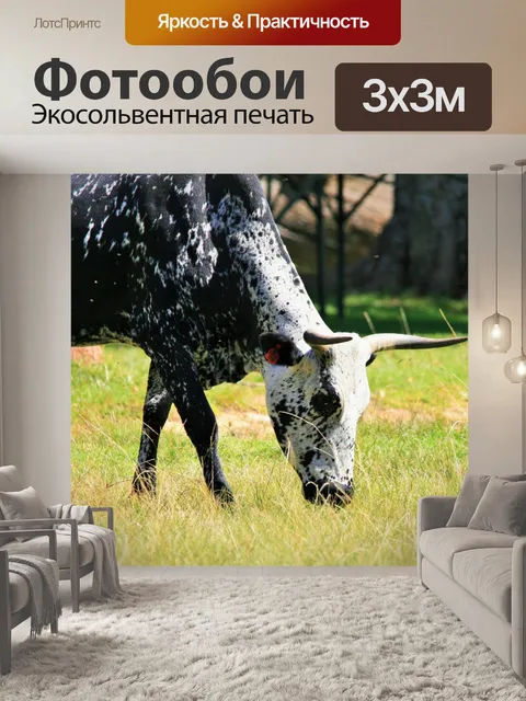 Фотообои крупного рогатого скота с пестрой пальто