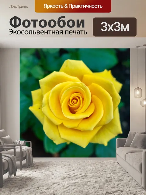 Фотообои Розы