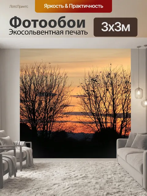 Фотообои Два дерева