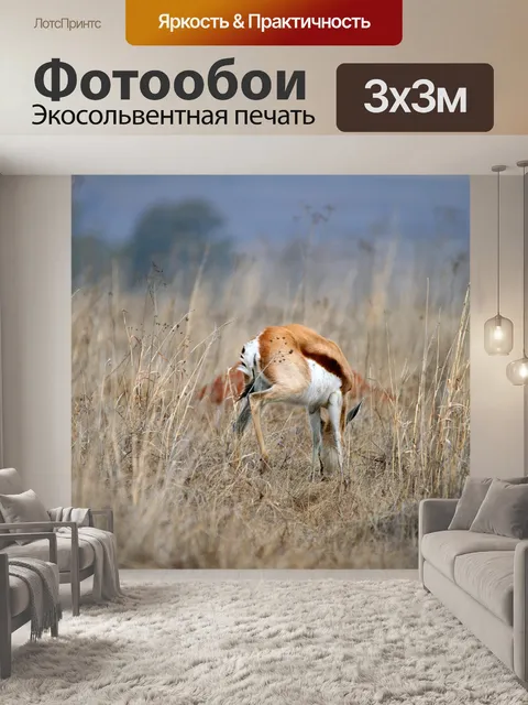 Фотообои трехцветный из Springbuck