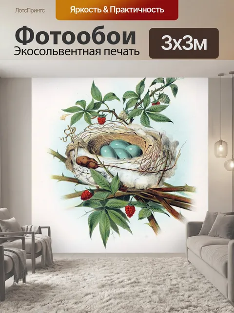 Фотообои Гнездо птицы винтажное искусство