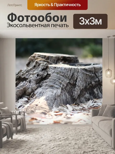 Фотообои Ствол