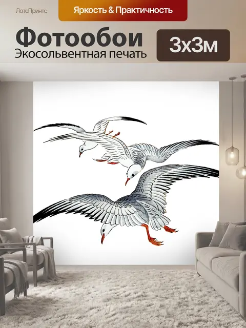 Фотообои Чайки в полете