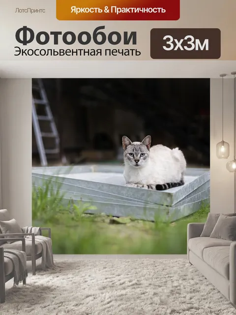 Фотообои Кошка