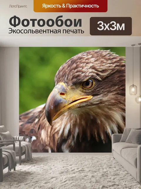 Фотообои Золотой орёл