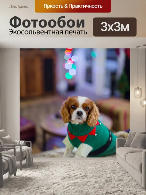 Фотообои Кавалер кинг чарльз спаниель