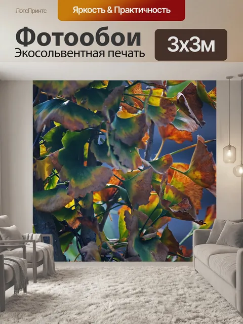 Фотообои осень на листьях гинкго билоба