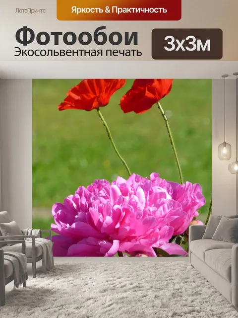 Фотообои Пионы