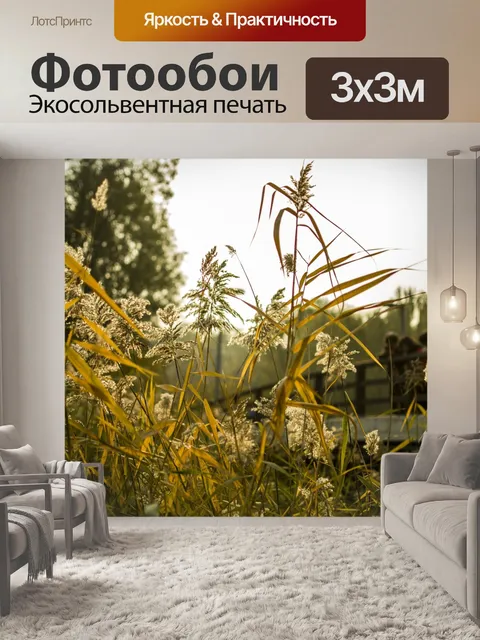 Фотообои Тростник