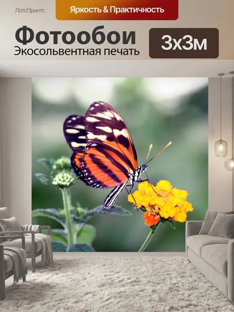 Фотообои Бабочки