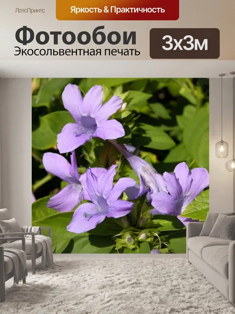 Фотообои Фиолетовые цветы