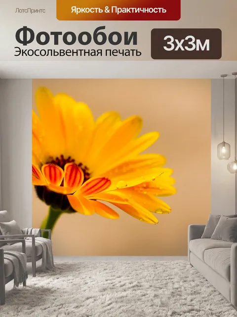 Фотообои Календулы