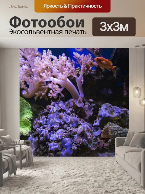 Фотообои Сцены из коралловых рифов