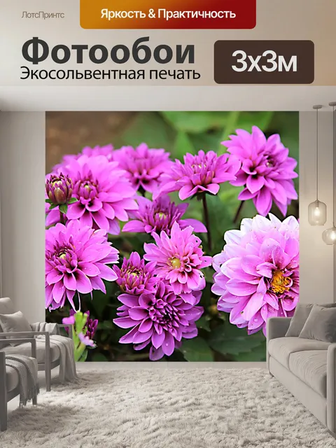 Фотообои Георгин