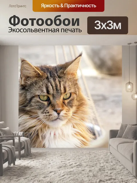 Фотообои Кошка
