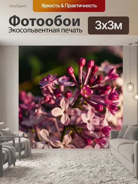Фотообои Сирень