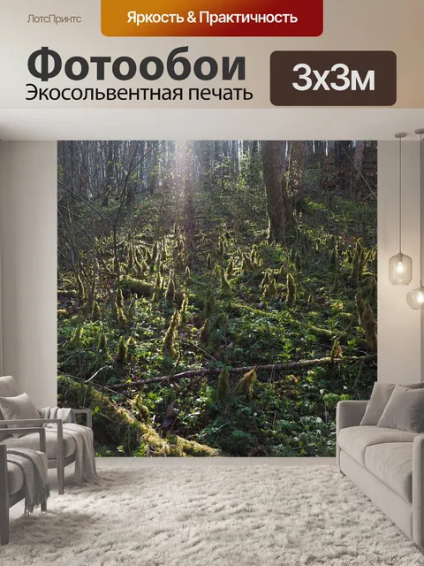 Фотообои Лес