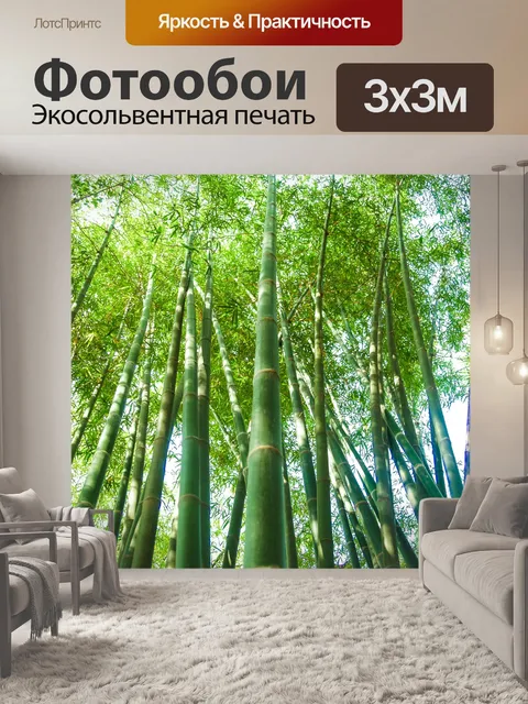 Фотообои Бамбуковый лес