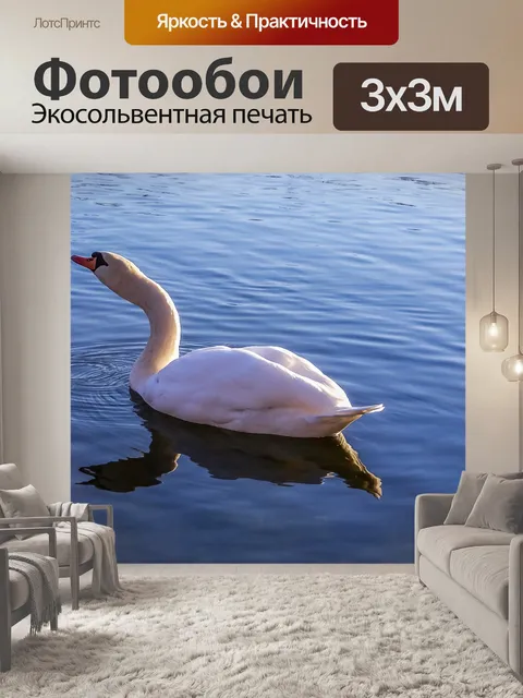 Фотообои Лебедь