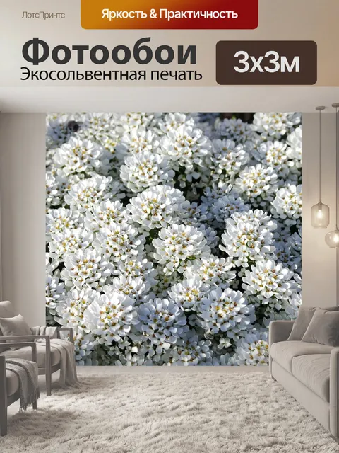 Фотообои Совет ternye
