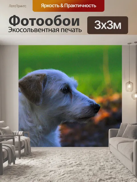 Фотообои Собака