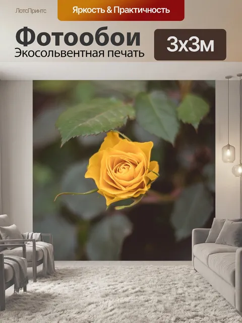 Фотообои Желтая роза