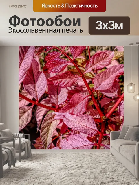 Фотообои Листья