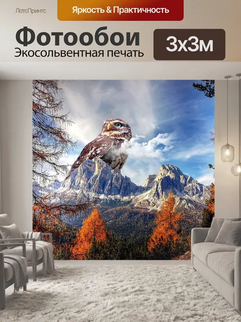 Фотообои Сова