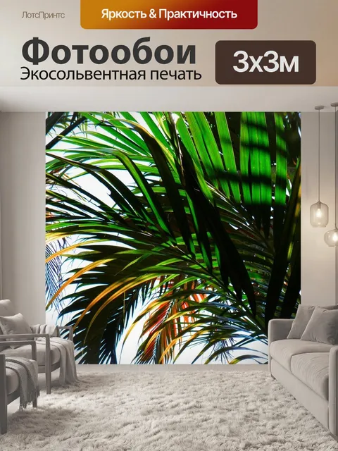 Фотообои Дерево пальмы