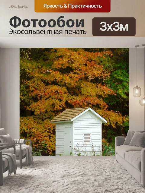Фотообои Флигель в лесу