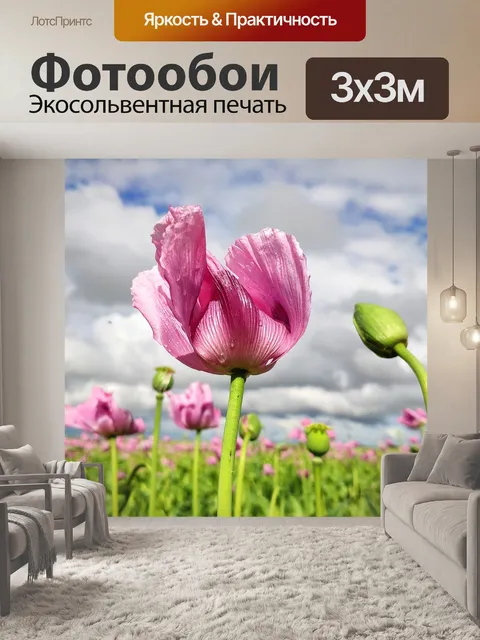 Фотообои Цветок