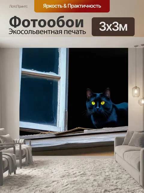 Фотообои черная кошка на окне заброшенного дома