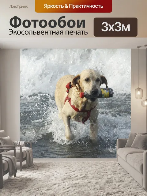 Фотообои Пляж