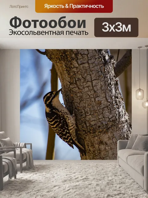 Фотообои Дятел на дереве