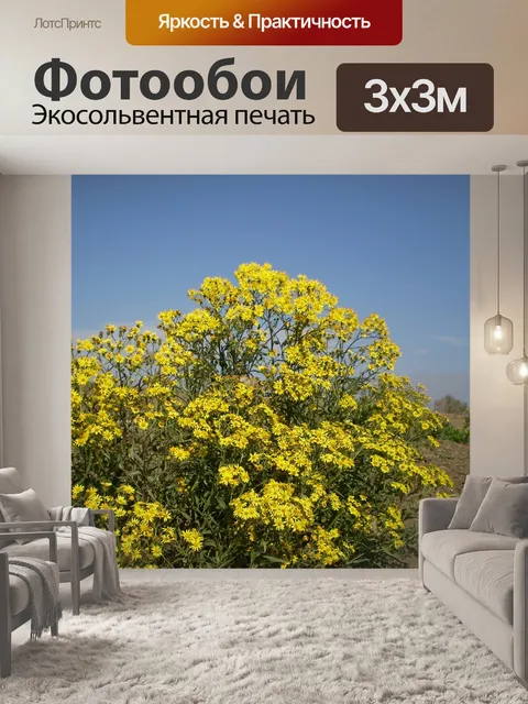 Фотообои Желтые цветы