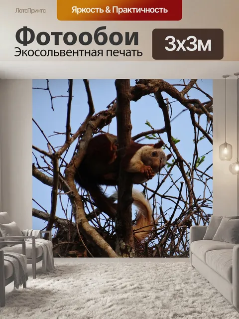 Фотообои Малабар гигантские белки