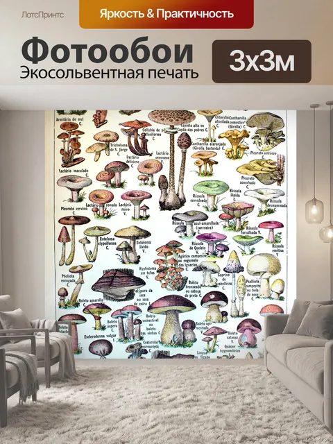 Фотообои Грибы винтаж арт старый