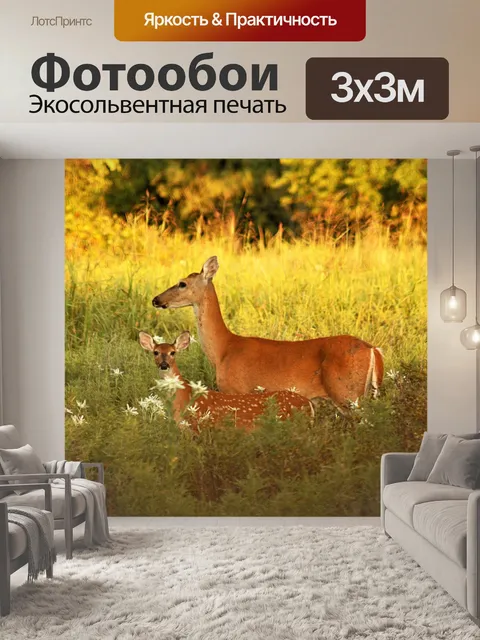 Фотообои Олень и хвост белого хвоста на закате