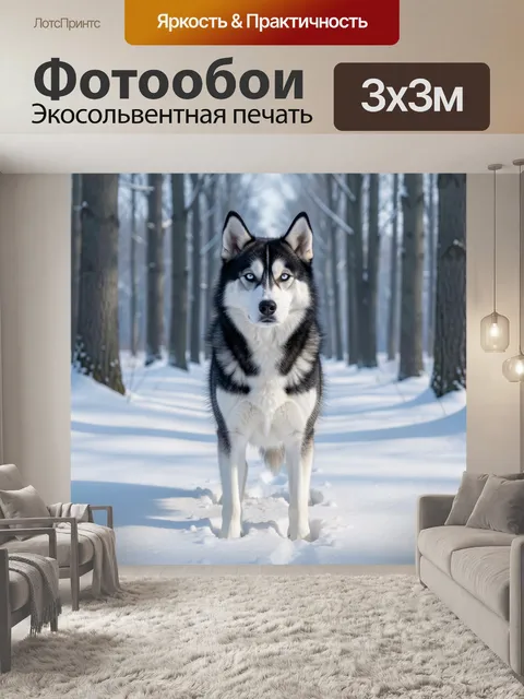 Фотообои Сибирский хаски в зимнем лесу