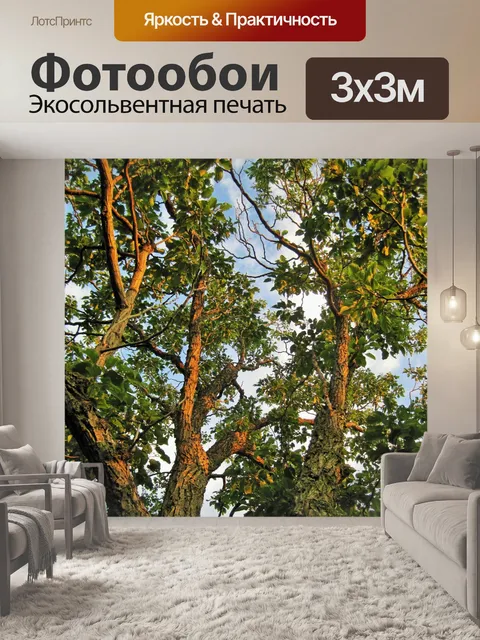 Фотообои японский изюм дерево в солнечном свете