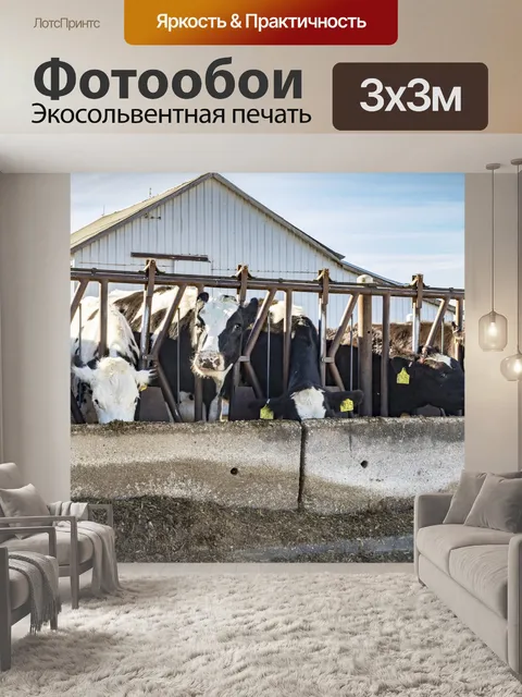 Фотообои Время подачи