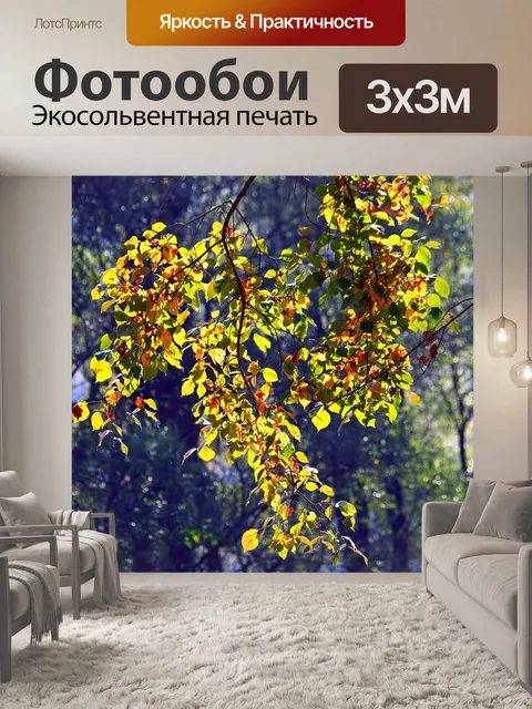 Фотообои Осень
