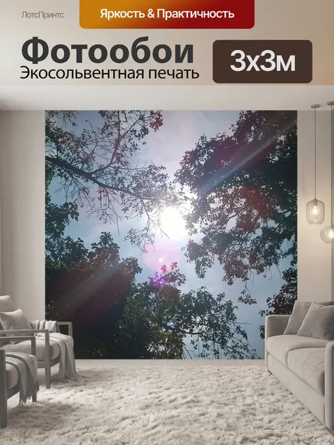 Фотообои Солнце