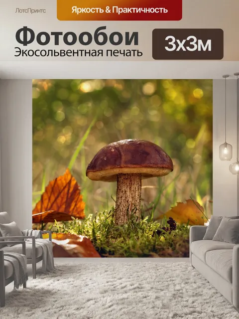 Фотообои Осенняя листва грибов фотография