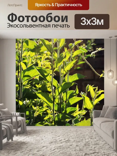 Фотообои новые зеленые побеги