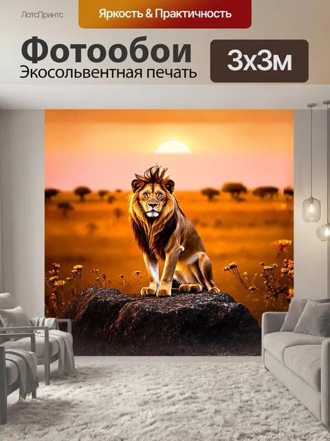 Фотообои лев величественно сидит на скале, его гривы развеваются на ветру, отражая закатное солнце
