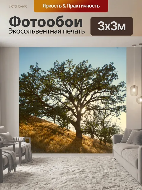 Фотообои Hilltop Oak Tree