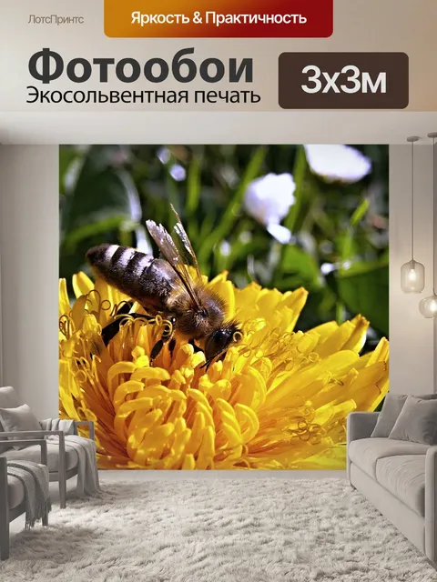 Фотообои Пчела